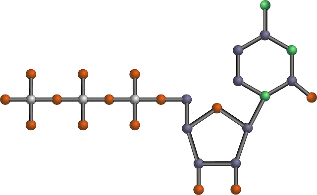 pyrimidinový nukleotid